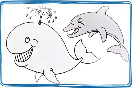 A Whopping Whale & A Dashing Dolphin